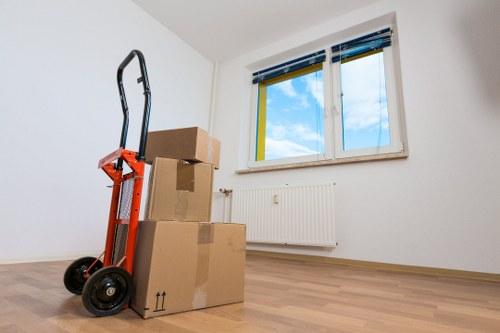 Checklist and packing supplies for a house move in Croydon